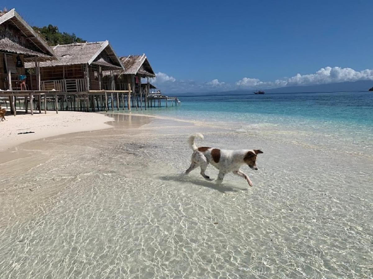 Kri Nus Homestay Raja Ampat מראה חיצוני תמונה